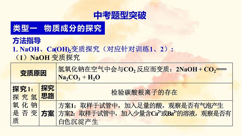 2023年中考化学二轮复习----酸碱盐科学探究题专题课件PPT第3页