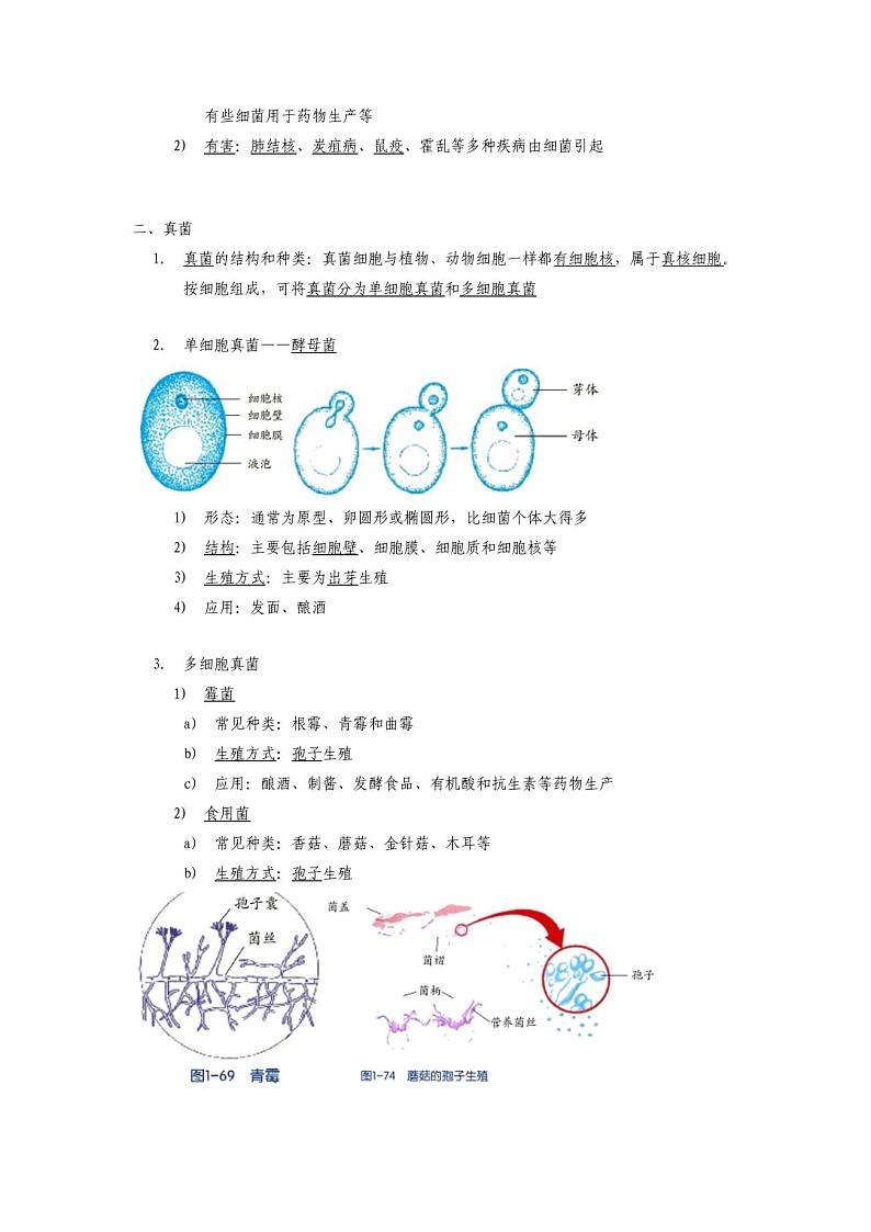 1.6细菌和真菌的繁殖(原卷版)——2020-2021学年科学七年级下册讲练测(浙教版)02
