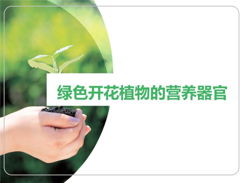 2022-2023学年华东师大版科学八年级上册4.1 绿色开花植物的营养器官课件01