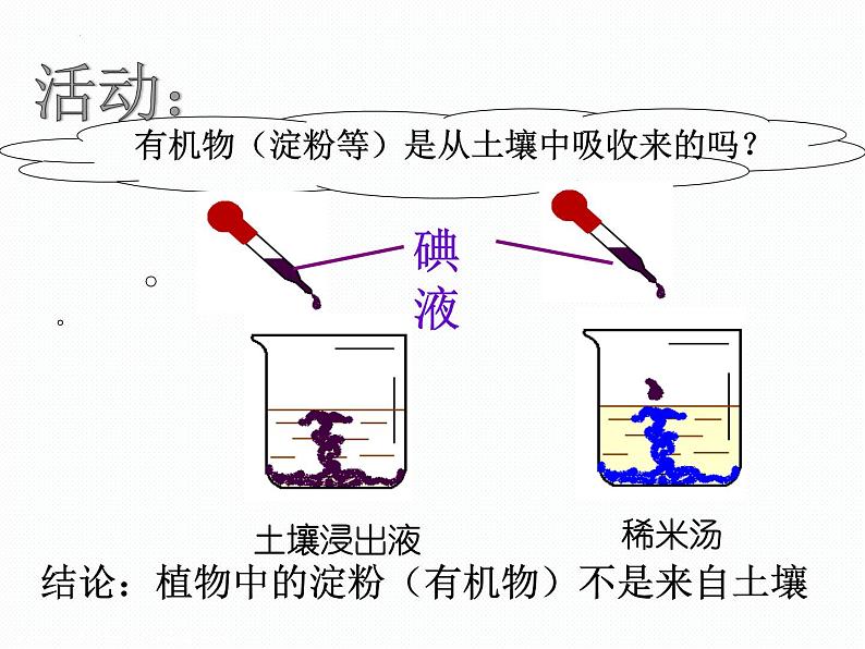 2022-2023学年华东师大版科学八年级上册4.4第1课时（光合作用和呼吸作用）课件第8页