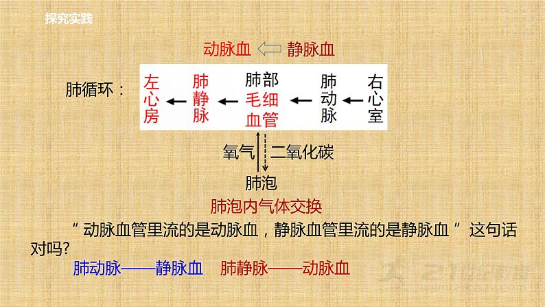 2022-2023学年浙教版科学九年级上册4.3  体内物质的运输（第3课时） 课件08