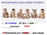 2022-2023学年浙教版科学七年级下册1.1 新生命的诞生课件