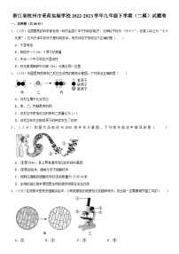 浙江省杭州市采荷实验学校2022-2023学年九年级下学期（二模）试题卷  含解析