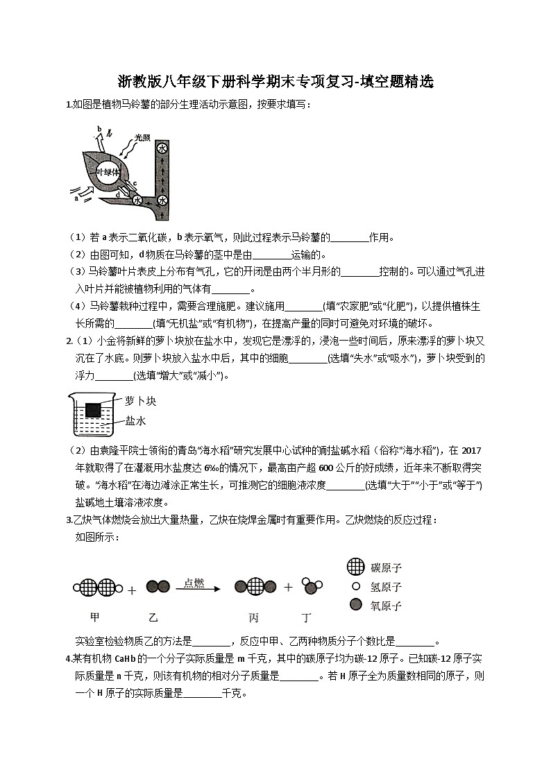 浙教版科学八年级下册 期末专项复习 填空题精选（含答案）01