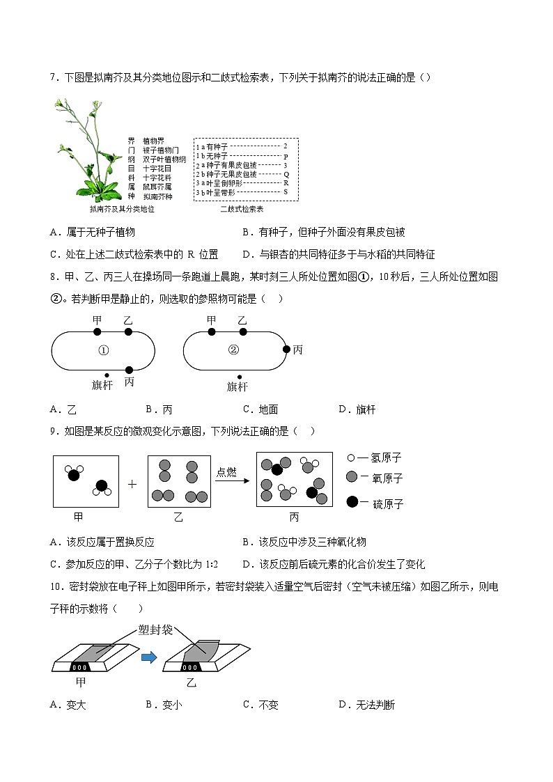 科学（浙江温州卷）（考试版）A4 第3页