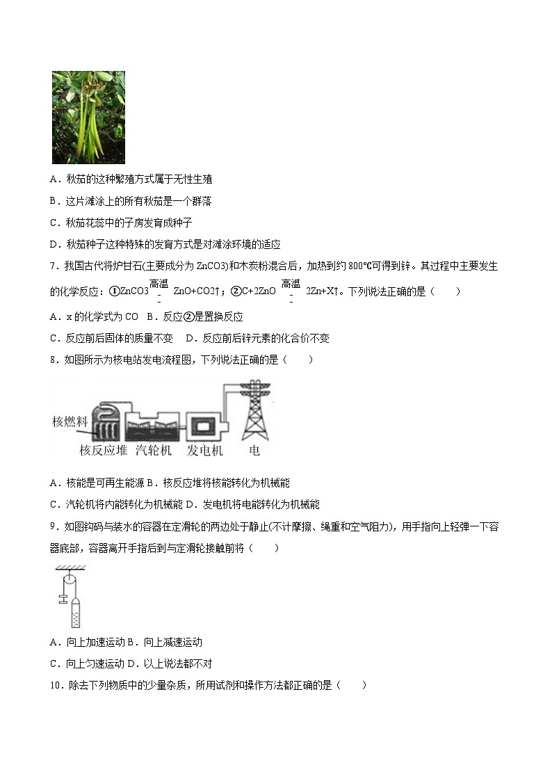 科学（浙江卷）（考试版）A4第3页