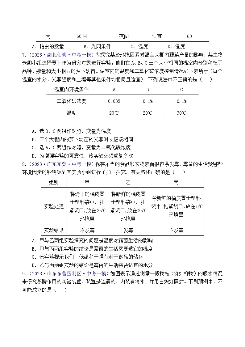 专题10 科学探究（原卷版）第2页