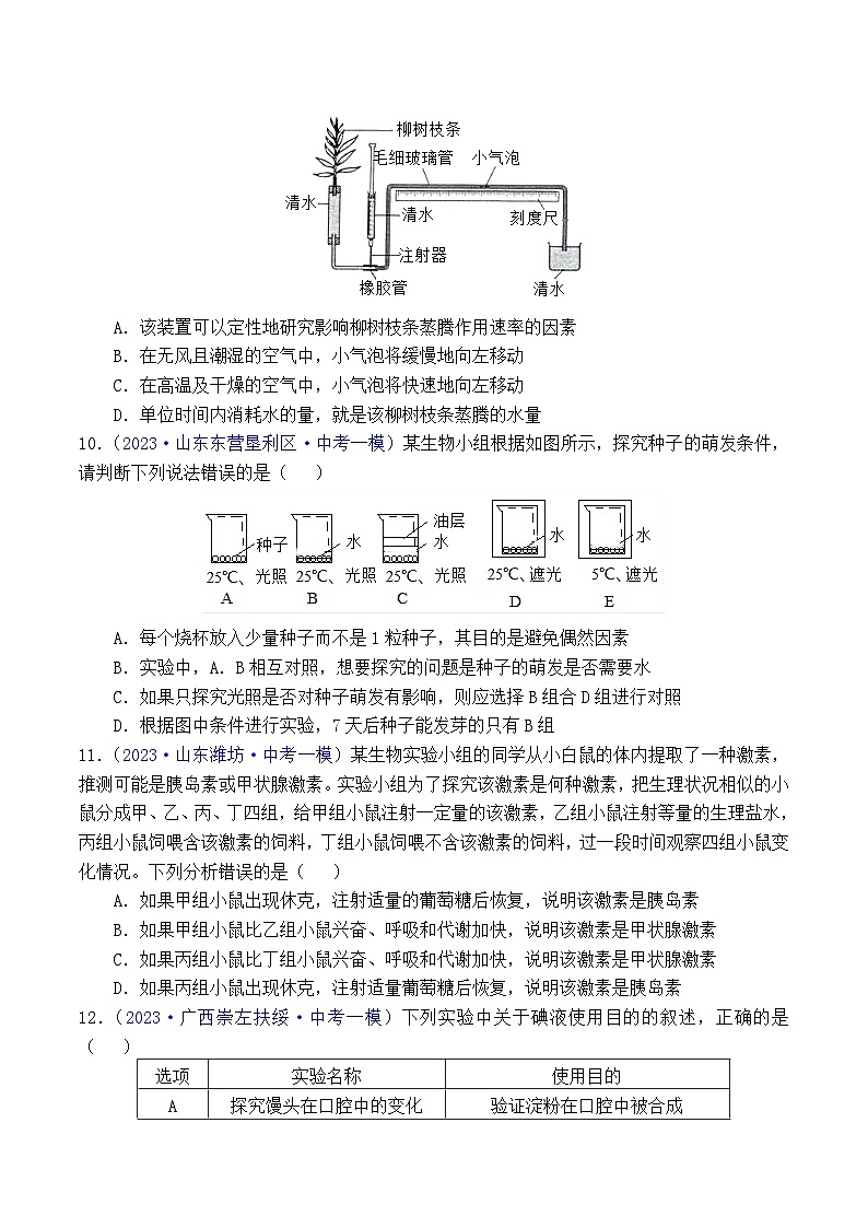 专题10 科学探究（原卷版）第3页