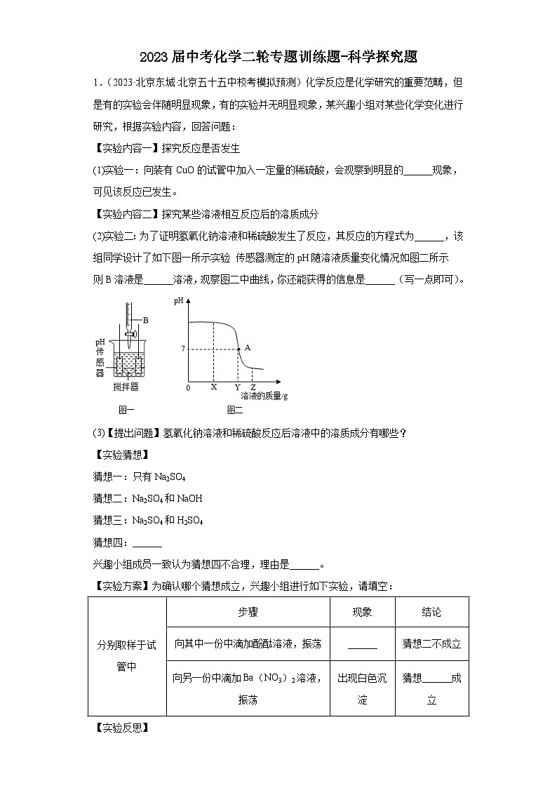 2023年中考化学二轮专题训练科学探究题+第1页