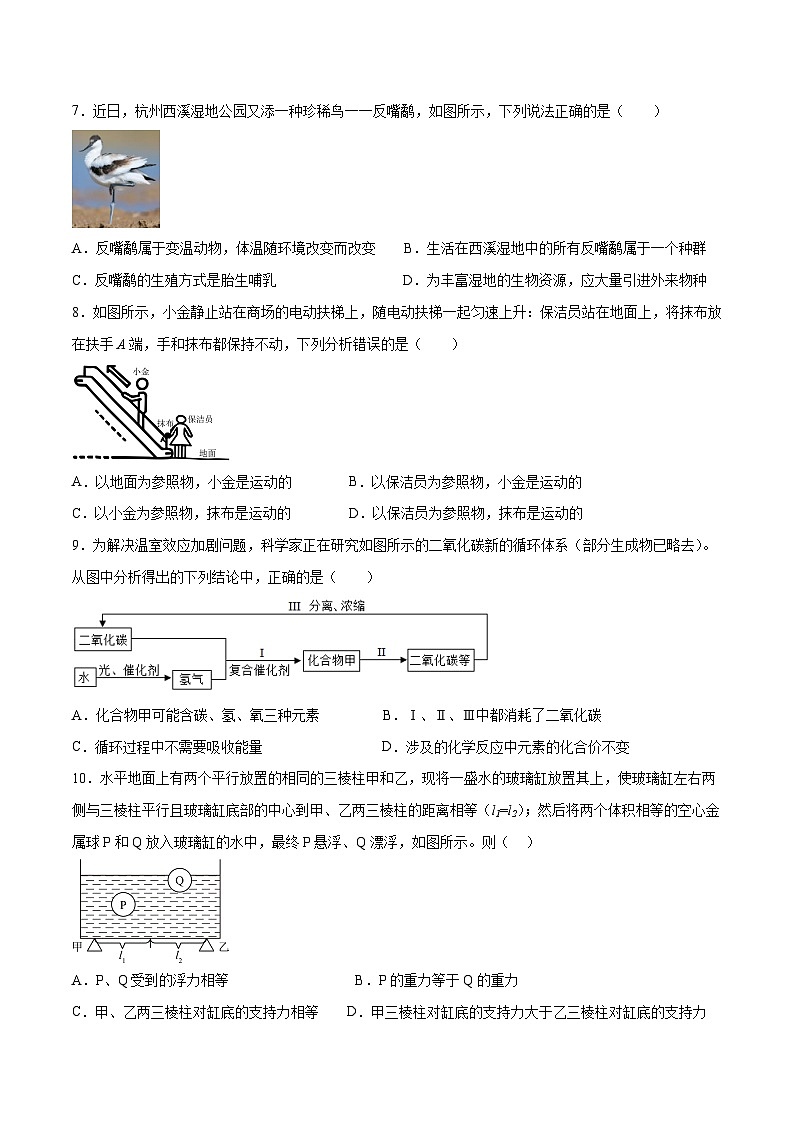 科学（浙江温州卷）-【试题猜想】2023年中考考前最后一卷（含考试版、全解全析、参考答案、答题卡）03