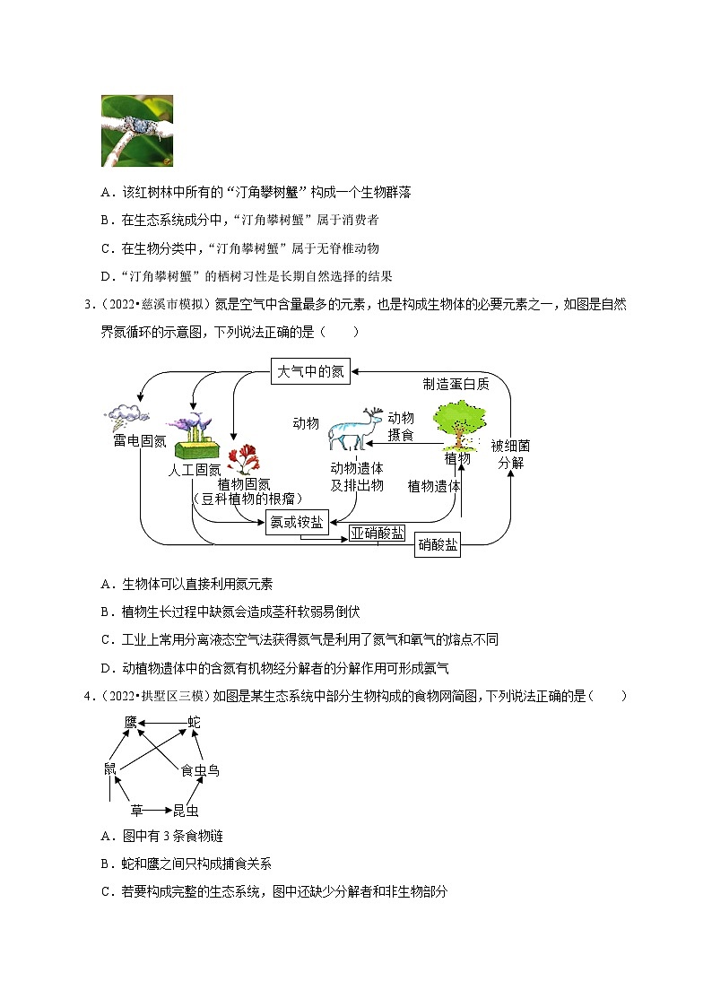 精练03 生物与环境（原卷版）第3页