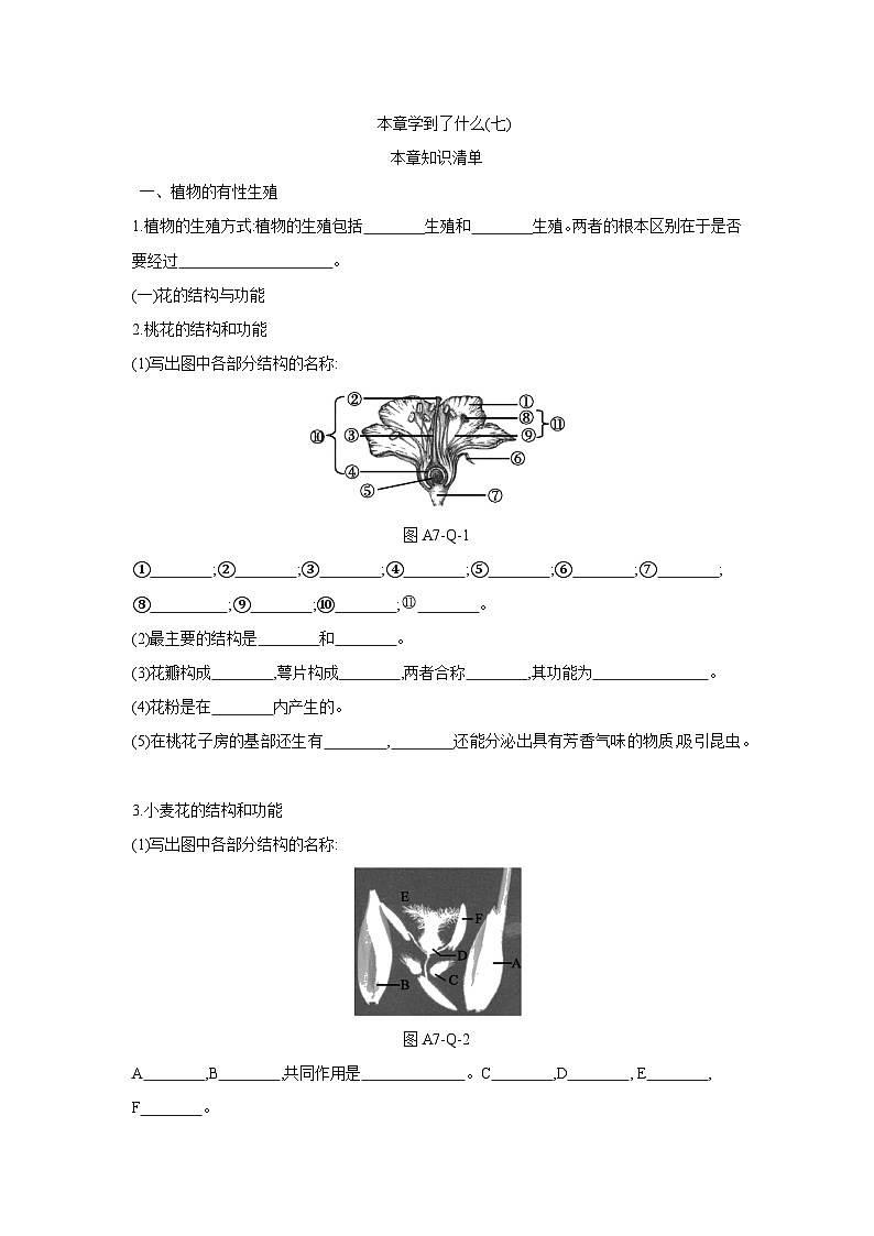 科学七年级下册华东师大版 本章知识点清单复习归纳  第七章  植物和微生物的生殖与发育第1页