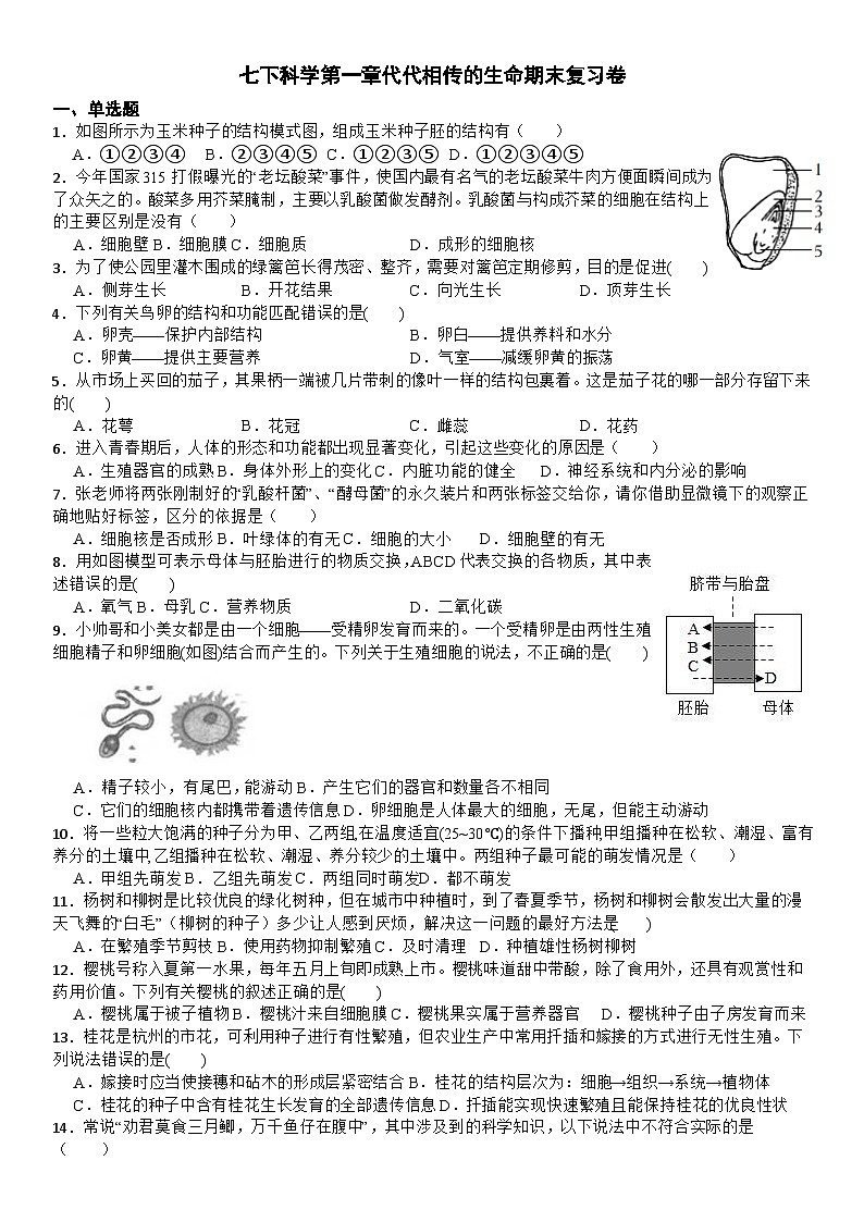 七下科学第一章代代相传的生命期末复习卷01