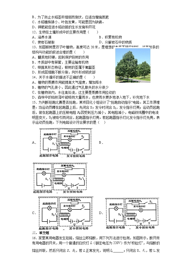 2022--2023学年浙教版八年级下学期期末模拟测试+科学试卷第3页