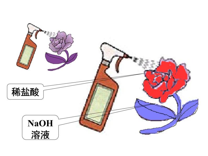 浙教版科学九年级上册课件 第1章 物质及其变化 第2节 物质的酸碱性05