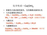 浙教版科学九年级上册课件 第1章 物质及其变化 第4节 常见的碱