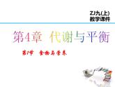 浙教版科學(xué)九年級上冊課件 第4章 代謝與平衡 1食物與營養(yǎng)