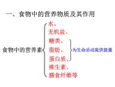 浙教版科學(xué)九年級上冊課件 第4章 代謝與平衡 1食物與營養(yǎng)