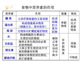 浙教版科学九年级上册课件 第4章 代谢与平衡 2 食物的消化与吸收