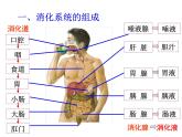 浙教版科学九年级上册课件 第4章 代谢与平衡 2 食物的消化与吸收