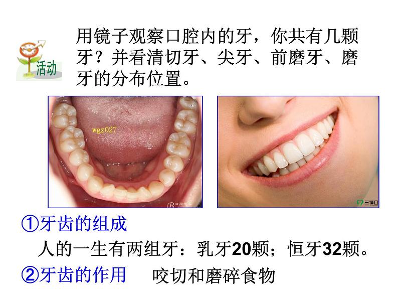 浙教版科学九年级上册课件 第4章 代谢与平衡 2 食物的消化与吸收第6页