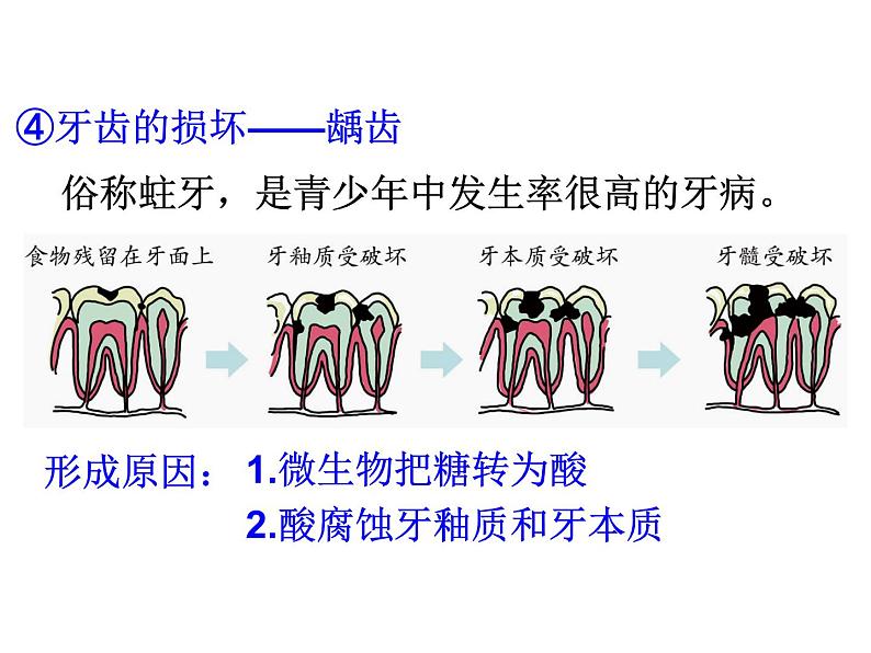 浙教版科学九年级上册课件 第4章 代谢与平衡 2 食物的消化与吸收第8页