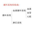 浙教版科学九年级上册课件 第4章 代谢与平衡 3 体内物质的运输