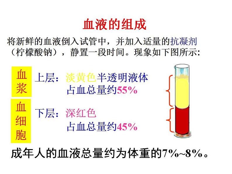 浙教版科学九年级上册课件 第4章 代谢与平衡 3 体内物质的运输04