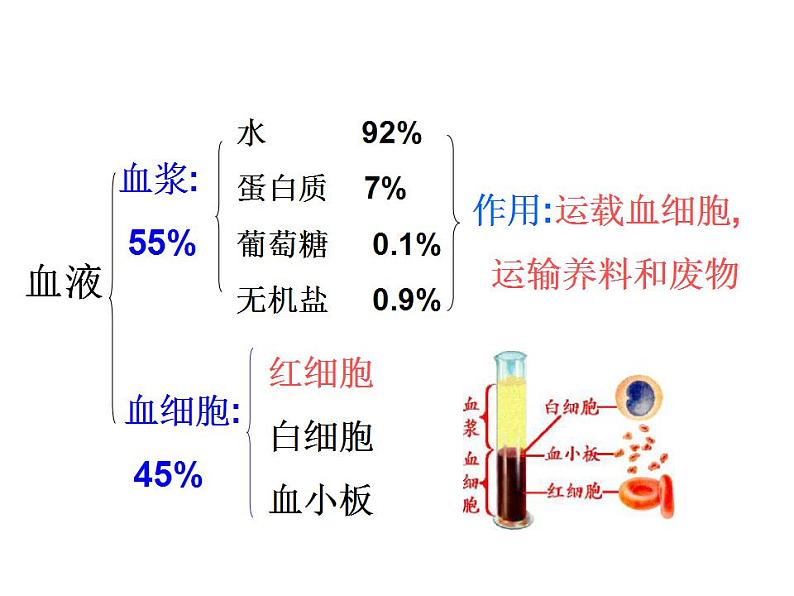 浙教版科学九年级上册课件 第4章 代谢与平衡 3 体内物质的运输05