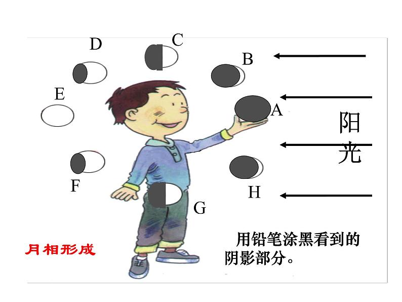 浙教版科学七年级下册课件 第四章 地球与宇宙 第4节 月相03