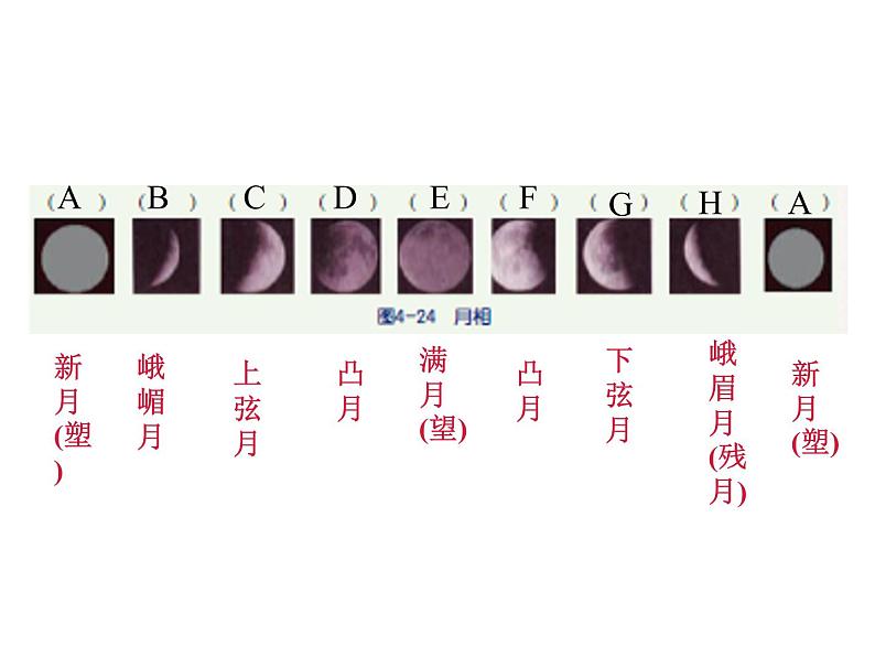 浙教版科学七年级下册课件 第四章 地球与宇宙 第4节 月相04