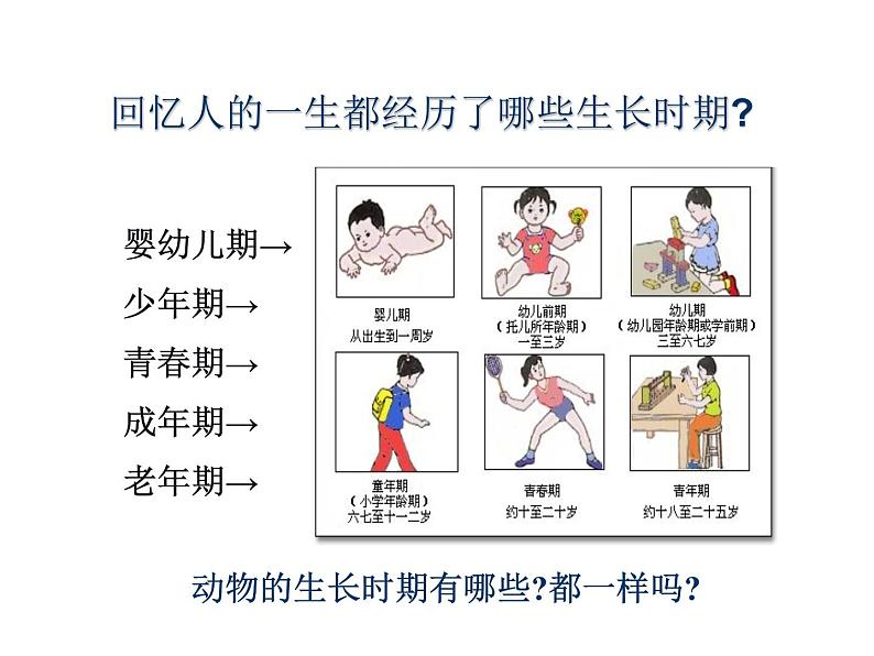 浙教版科学七年级下册课件 第一章 代代相传的生命 第3节 动物的生长时期02