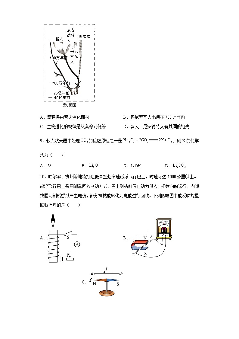 2023年浙江省丽水市中考科学真题（含解析）第3页