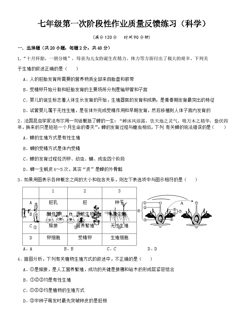 浙江省台州市书生中学2022-2023学年七年级下学期第一次阶段性作业质量反馈练习科学试题第1页