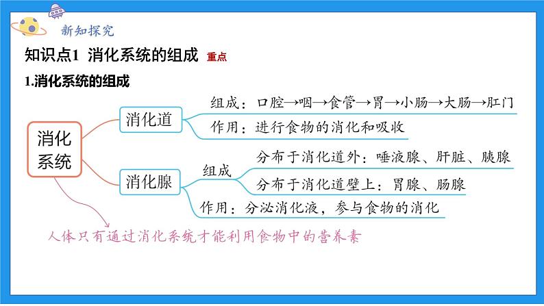 九上科学浙教 第4章  第2节 食物的消化与吸收 PPT课件03