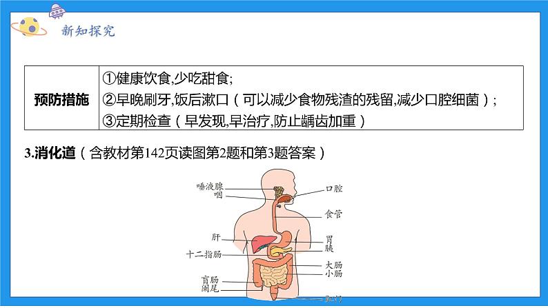 九上科学浙教 第4章  第2节 食物的消化与吸收 PPT课件06