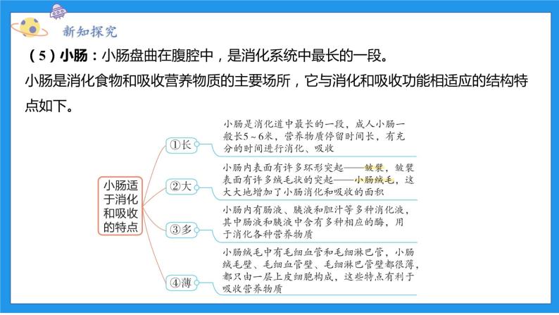 九上科学浙教 第4章  第2节 食物的消化与吸收 PPT课件08