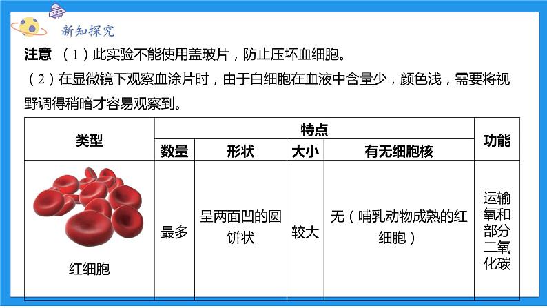 九上科学浙教 第4章  第3节 体内物质的运输 PPT课件08