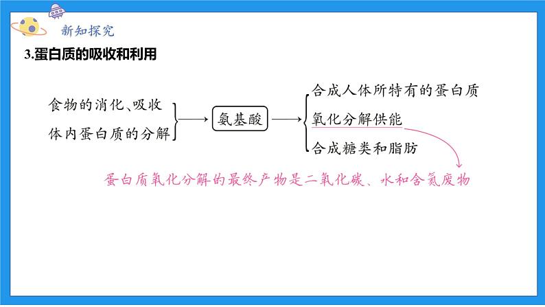 九上科学浙教 第4章  第5节 体内物质的动态平衡 PPT课件04