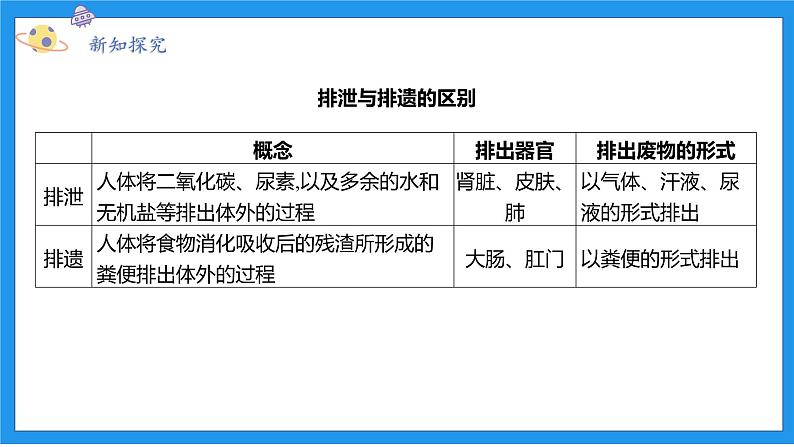 九上科学浙教 第4章  第5节 体内物质的动态平衡 PPT课件08