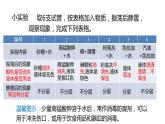 1.4 物质在水中的分散状况课件 第1课时 课件---2023-2024学年浙教版科学八年级上册