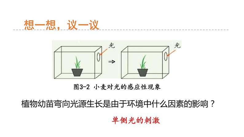 3.1 植物生命活动的调节 第1课时 植物的感应性  课件---2023-2024学年浙教版科学八年级上册06