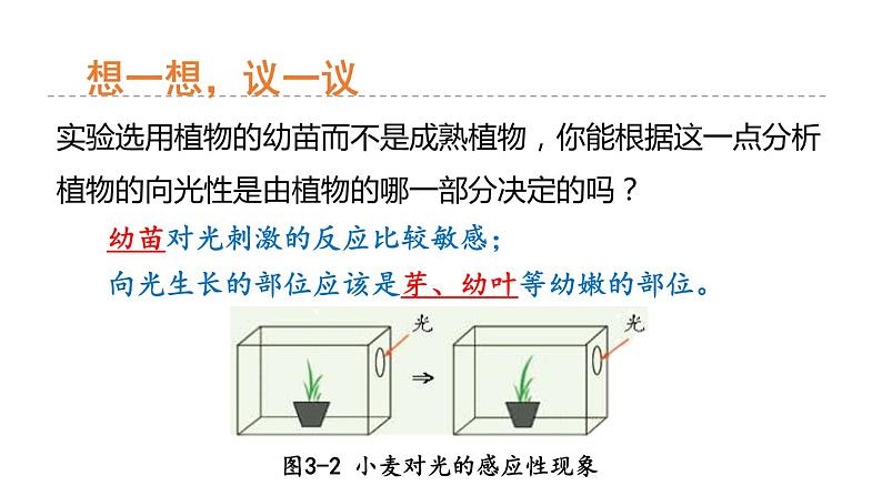 3.1 植物生命活动的调节 第1课时 植物的感应性  课件---2023-2024学年浙教版科学八年级上册08