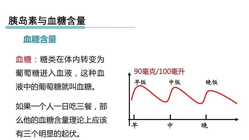 3.2 人体的激素调节 第2课时 胰岛素和血糖含量  课件---2023-2024学年浙教版科学八年级上册05