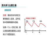 3.2 人体的激素调节 第2课时 胰岛素和血糖含量  课件---2023-2024学年浙教版科学八年级上册