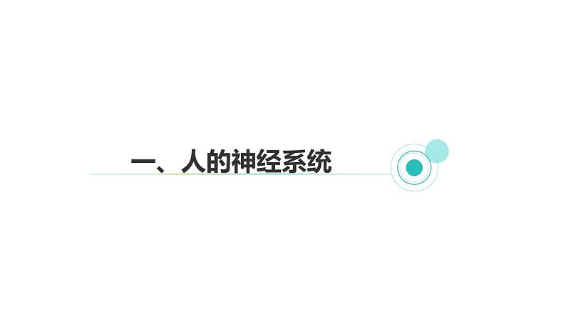 3.3 神经调节 第2课时 信息的处理  课件---2023-2024学年浙教版科学八年级上册03