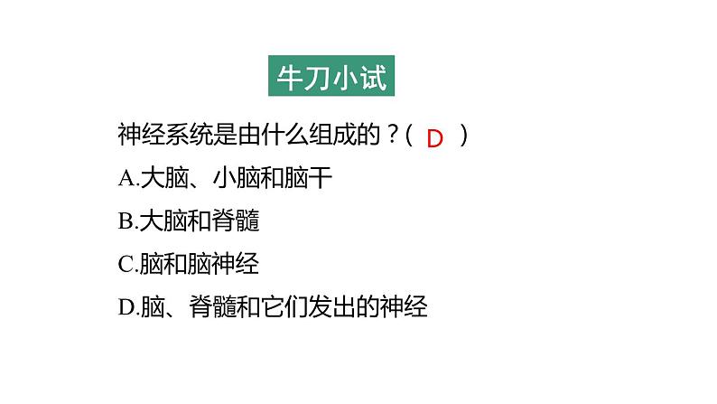 3.3 神经调节 第2课时 信息的处理  课件---2023-2024学年浙教版科学八年级上册07