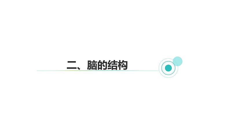 3.3 神经调节 第2课时 信息的处理  课件---2023-2024学年浙教版科学八年级上册08