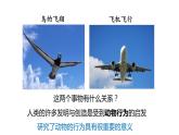 3.4 动物的行为  课件---2023-2024学年浙教版科学八年级上册