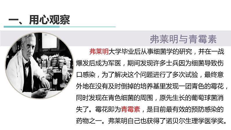 1.3 科学观察 课件---2023-2024学年浙教版科学七年级上册02